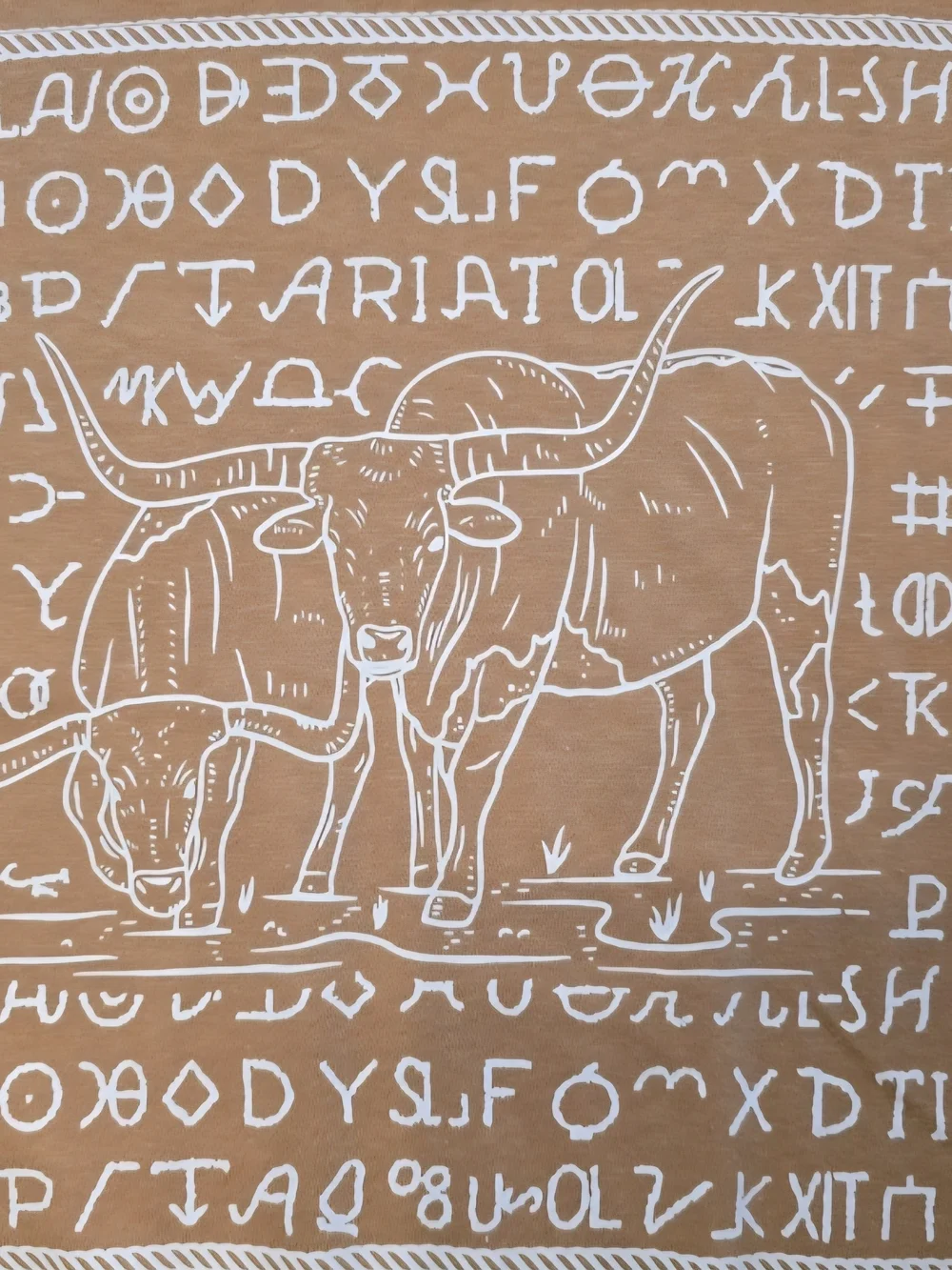 Ariat Longhorns And Brands Graphic Boyfriend Tee - Picture 4 of 7